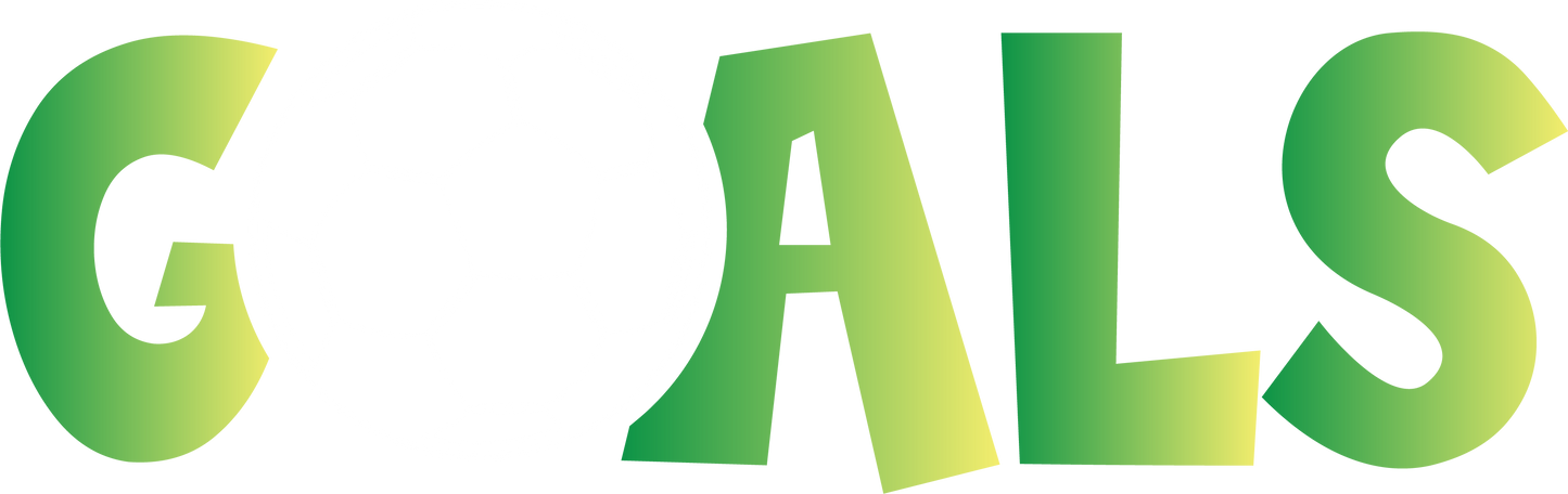 Soccer Goals